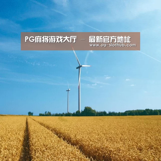 风能
