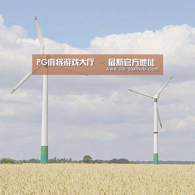 风能