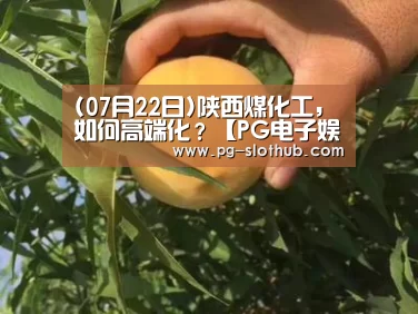 (07月22日)陕西煤化工,如何高端化?【PG电子娱乐中心】(图3) PG电竞平台