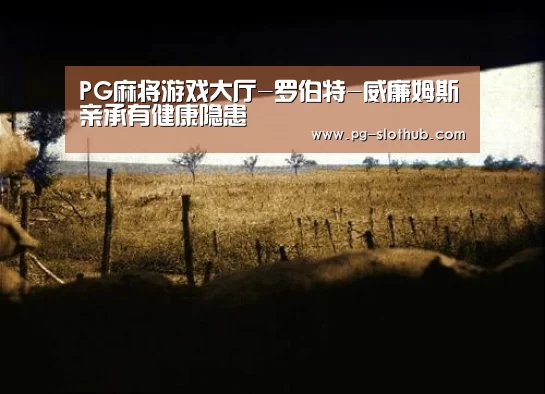 PG麻将官网