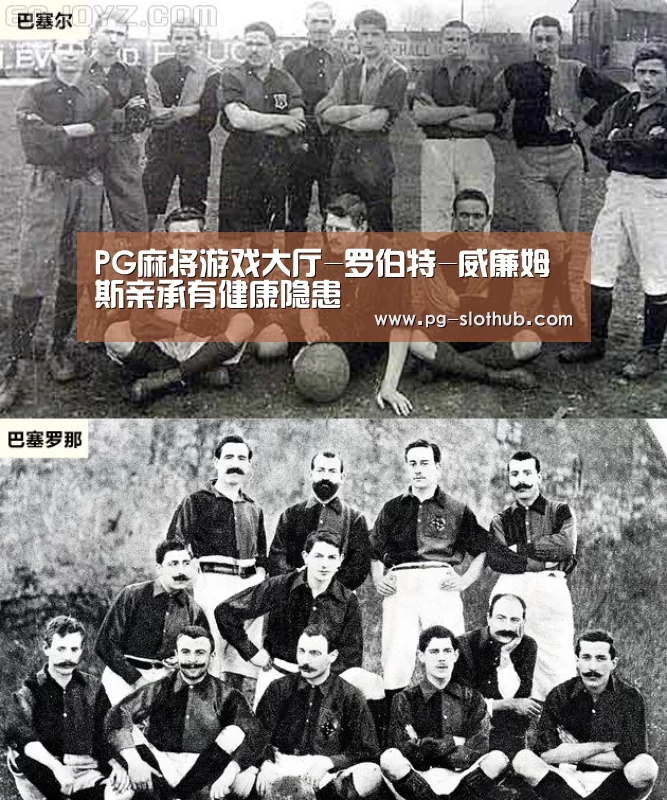 PG麻将官网