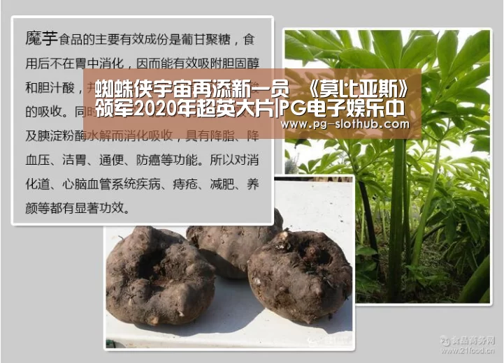 蜘蛛侠宇宙再添新一员 《莫比亚斯》领军2020年超英大片|PG电子娱乐中心(图3) PG电子娱乐中心