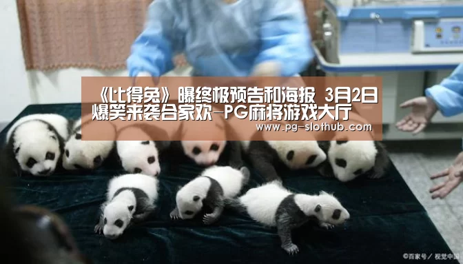 PG麻将游戏大厅