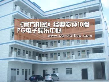 《官方机密》经典影评10篇-PG电子娱乐中心(图2) PG电竞平台