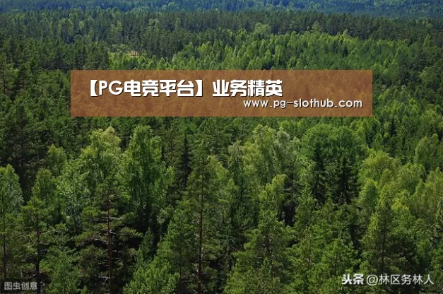 PG麻将游戏大厅