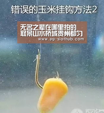 PG麻将官网