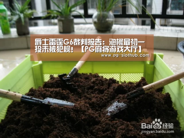 爵士雷霆G6裁判报告:泡椒最初一投未被犯规!【PG麻将游戏大厅】(图1) PG麻将游戏大厅